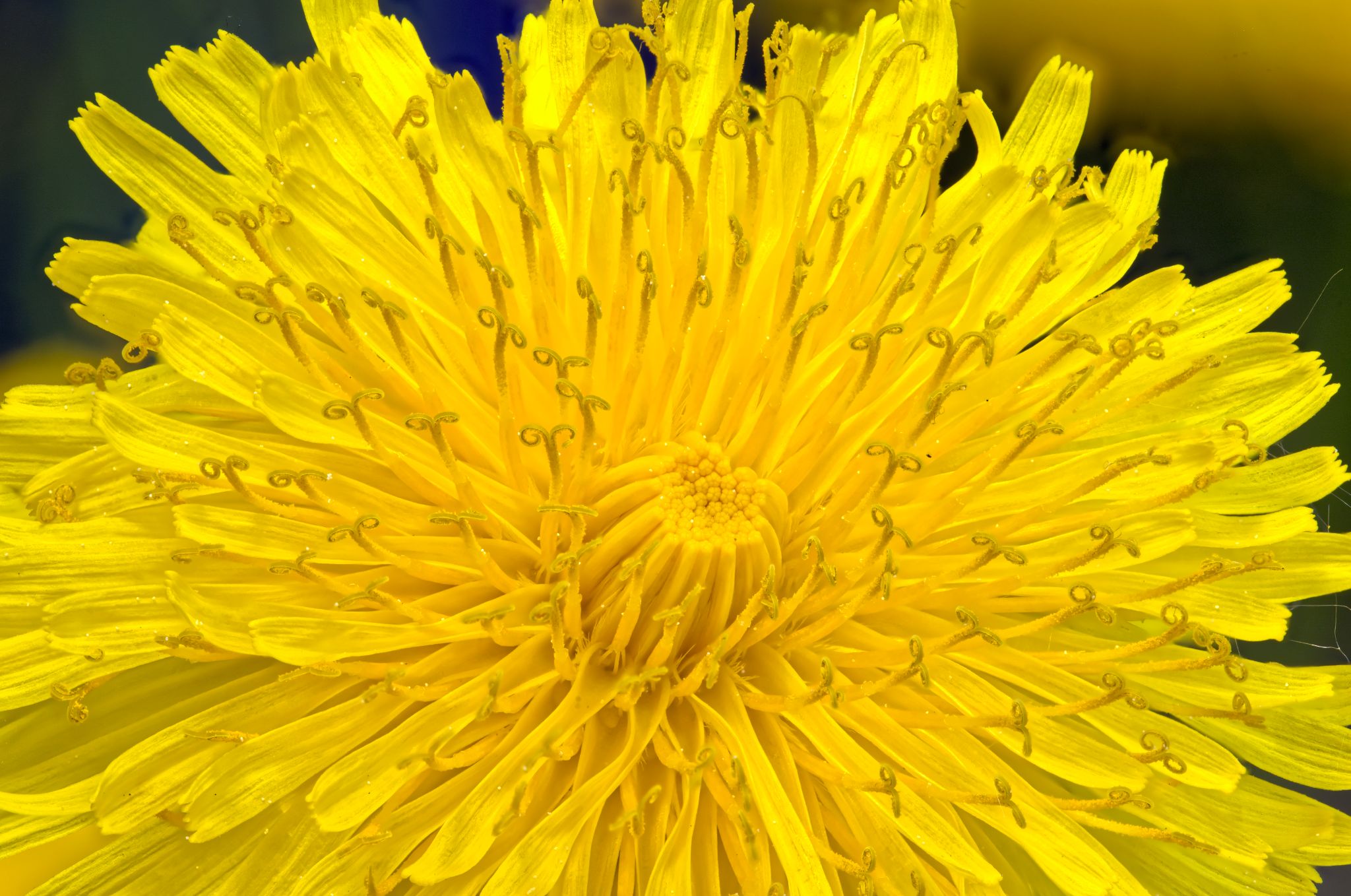 2022 05 07 17 11 08 (B,R8,S10)a